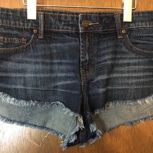 BDG Denim Cutoff Shorts